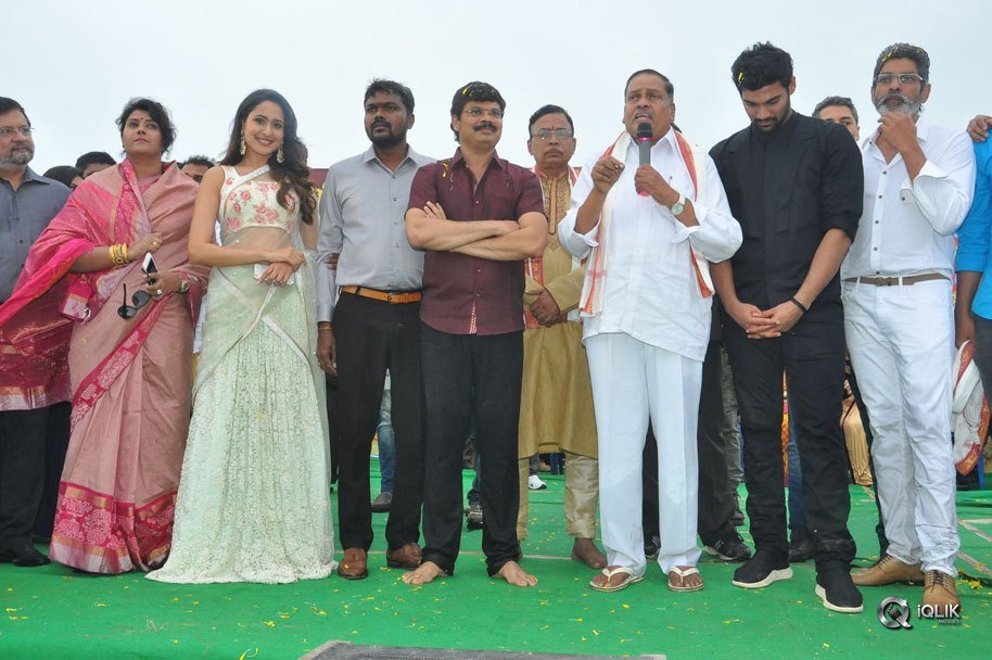 Jaya-Janaki-Nayaka-Movie-Vijayotsava-Veduka-At-Hamsala-Deevi